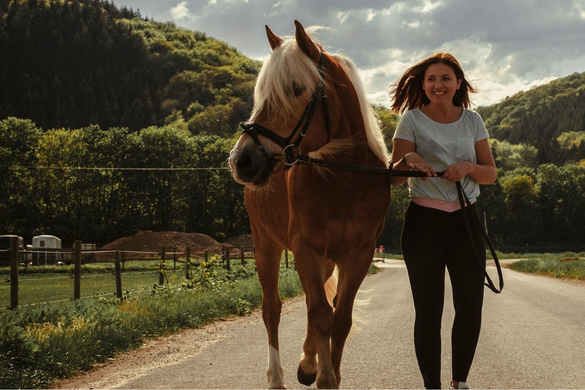 Déconnexion autour des chevaux